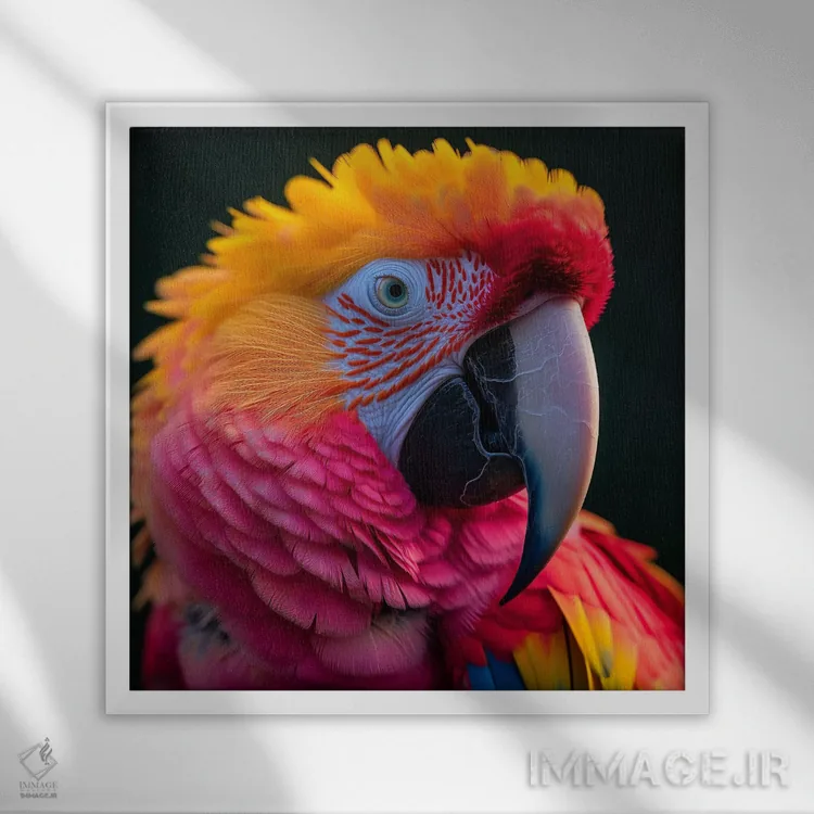 تابلو طوطی بیشفعال (هایپر) اثر دیوید لوبلاو - نمای قابدار سفید