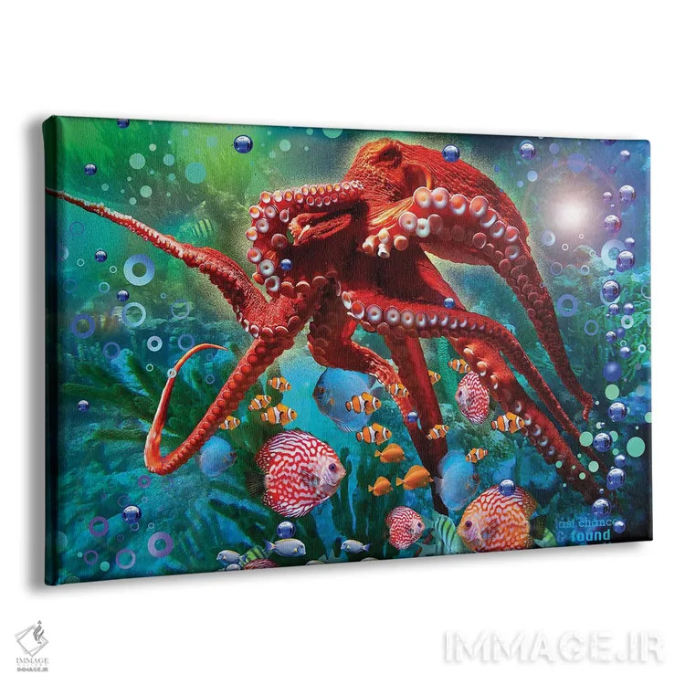 تابلو اختاپوس قرمز اثر دیوید لوبلاو - نمای پرسپکتیو محصول