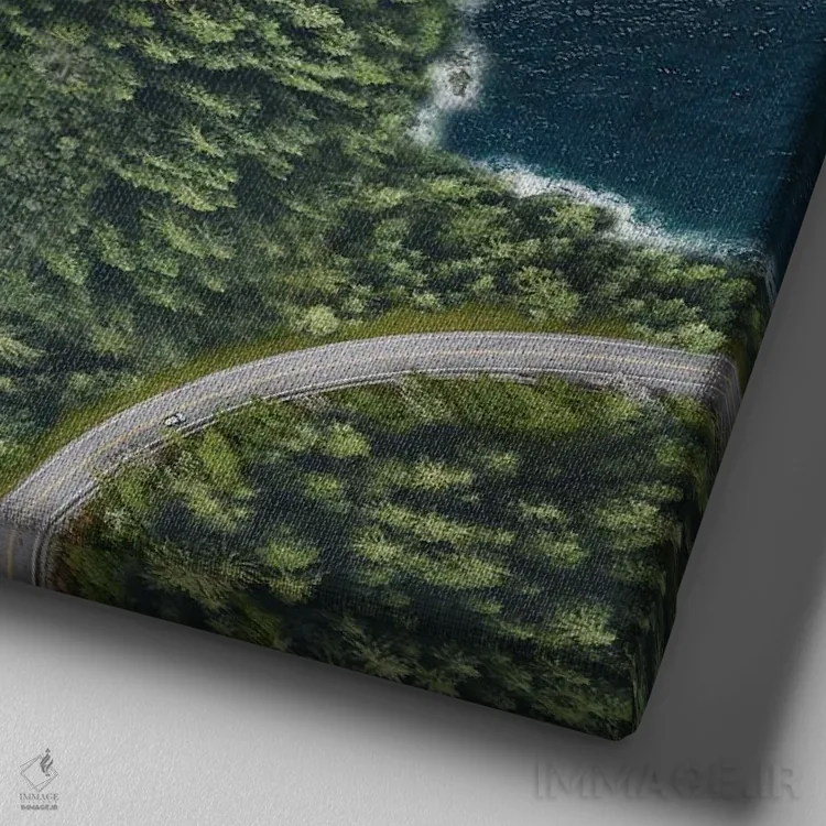 تابلو نقطهٔ روباه از بالا اثر دیوید لوبلاو - نمای نزدیک بافت بوم