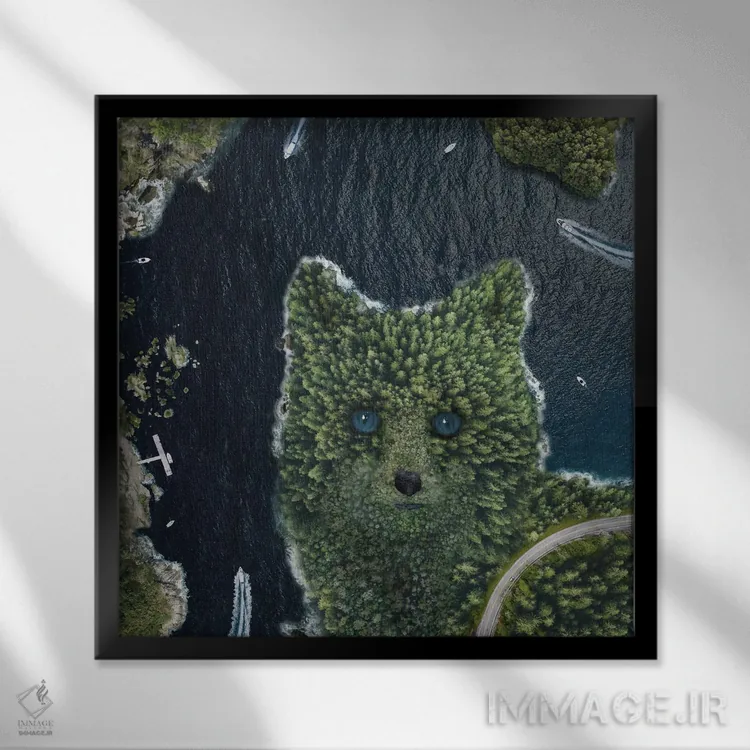 تابلو نقطهٔ روباه از بالا اثر دیوید لوبلاو - نمای قابدار مشکی