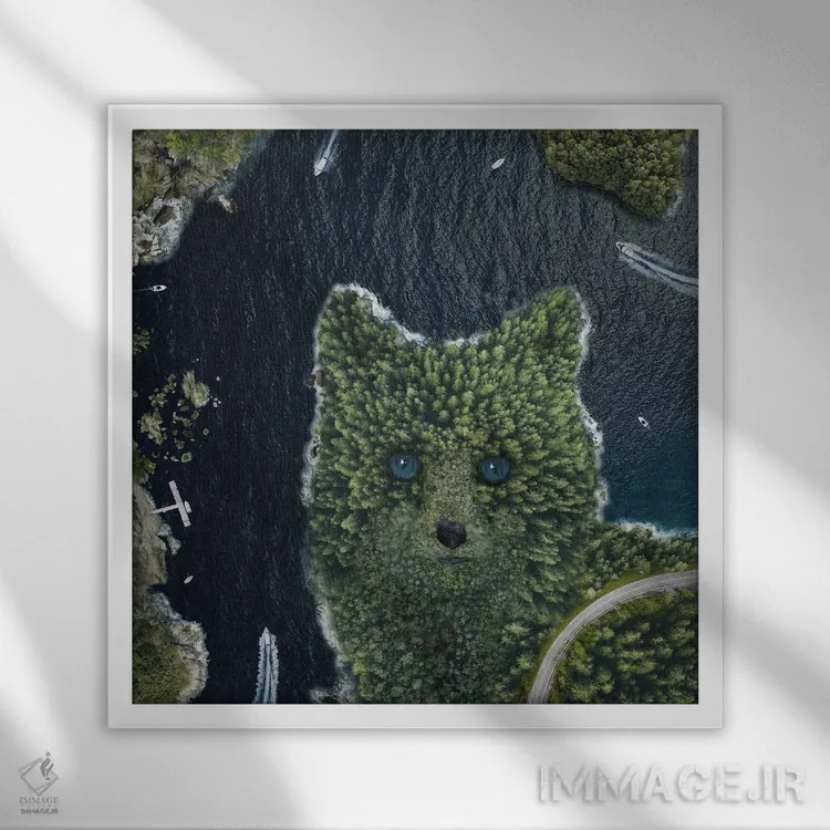 تابلو نقطهٔ روباه از بالا اثر دیوید لوبلاو - نمای قابدار سفید