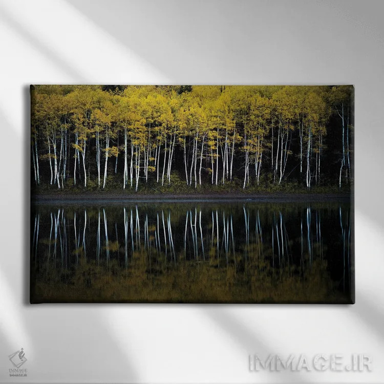 تابلو آینهٔ جنگل اثر داستین لِفور - نمای روبهرو روی دیوار