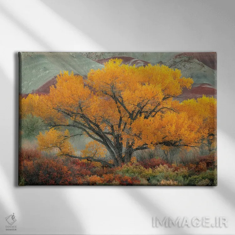 تابلو درخشان اثر داستین لِفور - نمای روبهرو روی دیوار