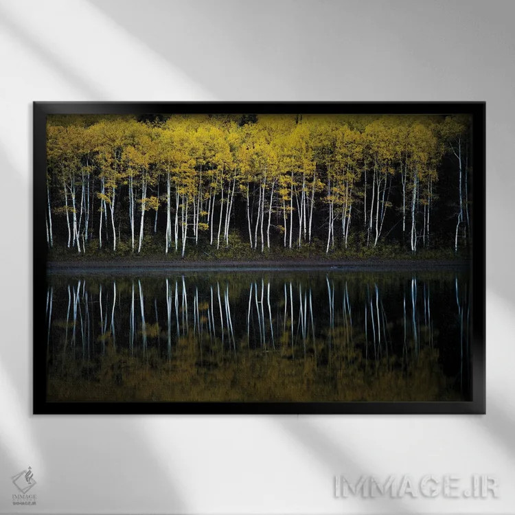تابلو آینهٔ جنگل اثر داستین لِفور - نمای قابدار مشکی