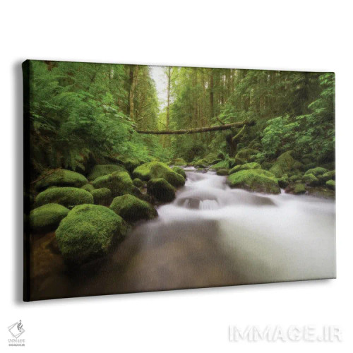تابلو رودخانهٔ رینییر (آمریکا) اثر داستین لِفور - نمای پرسپکتیو محصول