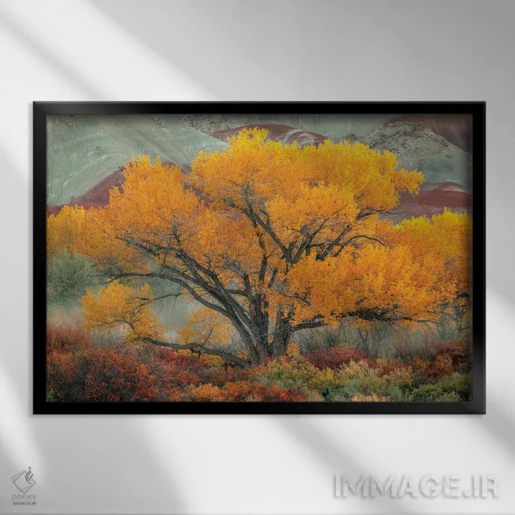 تابلو درخشان اثر داستین لِفور - نمای قابدار مشکی