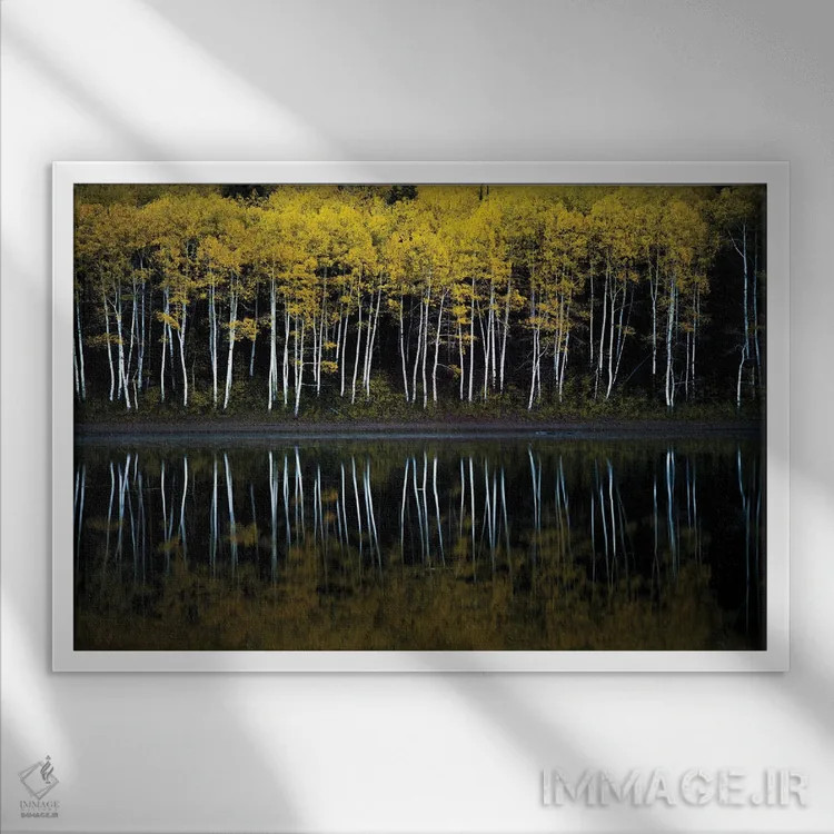 تابلو آینهٔ جنگل اثر داستین لِفور - نمای قابدار سفید