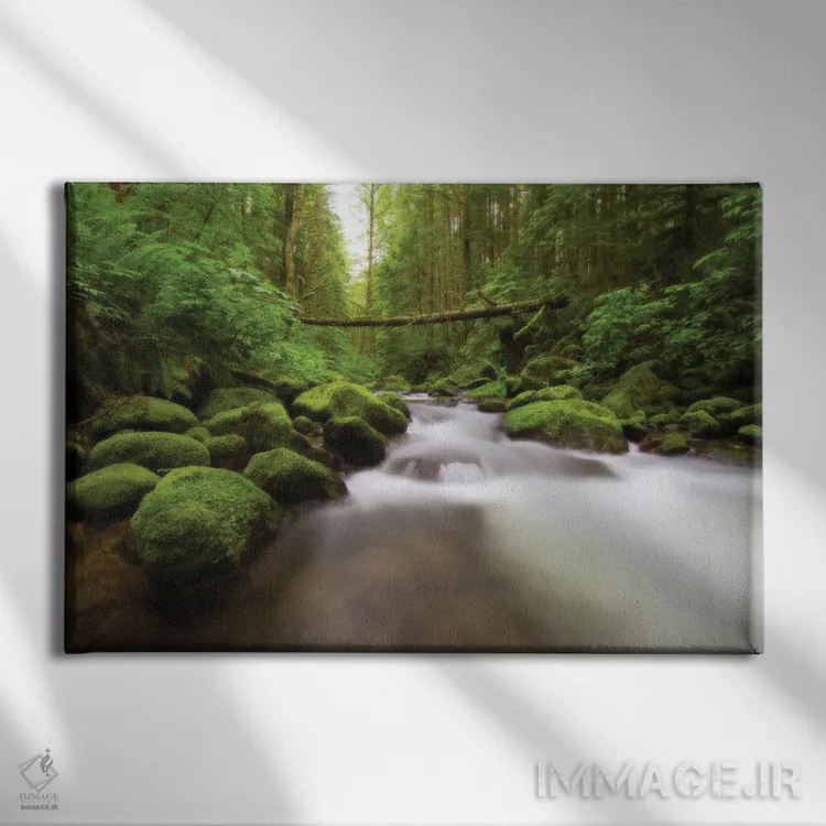 تابلو رودخانهٔ رینییر (آمریکا) اثر داستین لِفور - نمای روبهرو روی دیوار