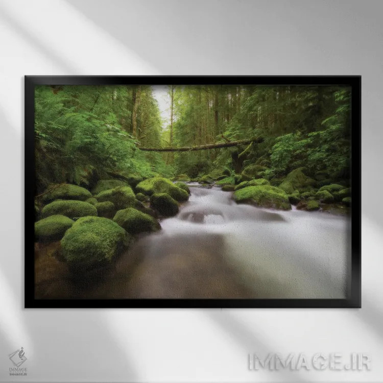 تابلو رودخانهٔ رینییر (آمریکا) اثر داستین لِفور - نمای قابدار مشکی