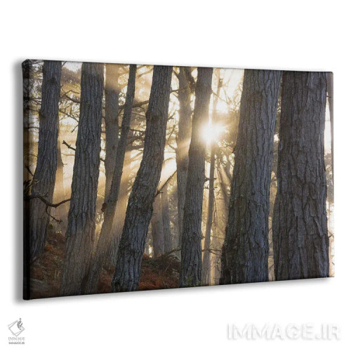 تابلو وقار اثر داستین لِفور - نمای پرسپکتیو محصول