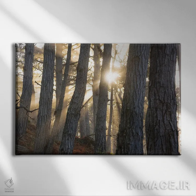 تابلو وقار اثر داستین لِفور - نمای روبهرو روی دیوار