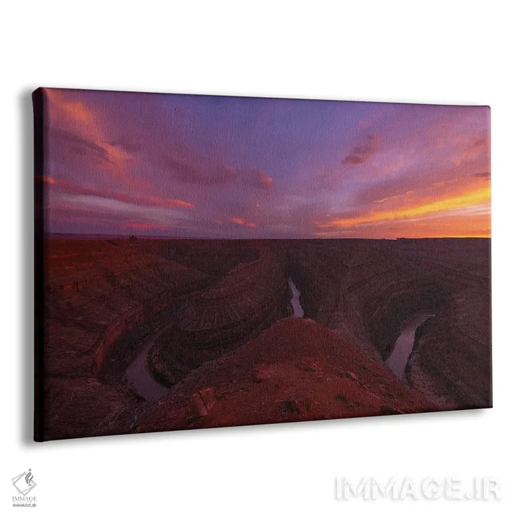 تابلو غروب گردنغازها اثر داستین لِفور - نمای پرسپکتیو محصول