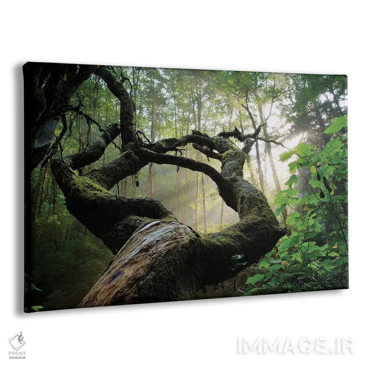 تابلو پنجره مقدس اثر داستین لِفور - نمای پرسپکتیو محصول