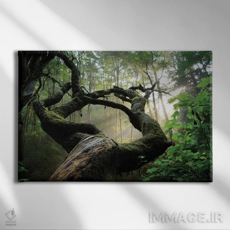 تابلو پنجره مقدس اثر داستین لِفور - نمای روبهرو روی دیوار