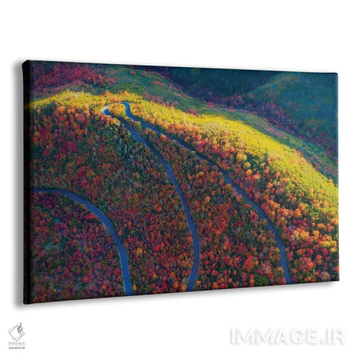 تابلو پارک ایالتی واساچ اثر داستین لِفور - نمای پرسپکتیو محصول