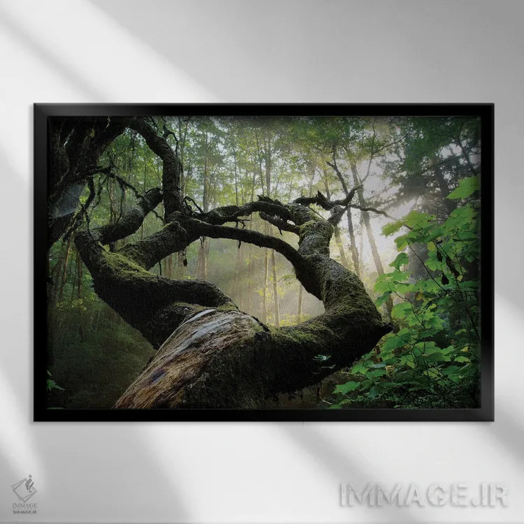 تابلو پنجره مقدس اثر داستین لِفور - نمای قابدار مشکی