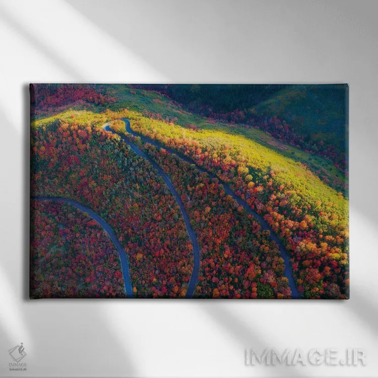 تابلو پارک ایالتی واساچ اثر داستین لِفور - نمای روبهرو روی دیوار