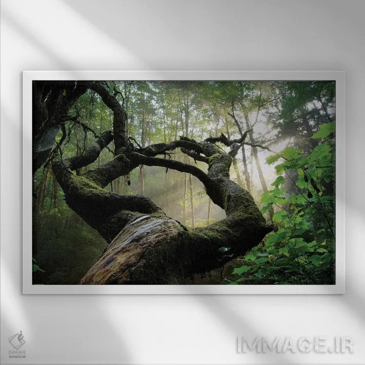 تابلو پنجره مقدس اثر داستین لِفور - نمای قابدار سفید