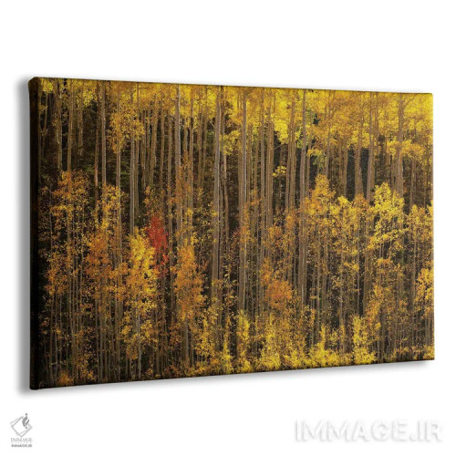 تابلو غیرمتعارف اثر داستین لِفور - نمای پرسپکتیو محصول