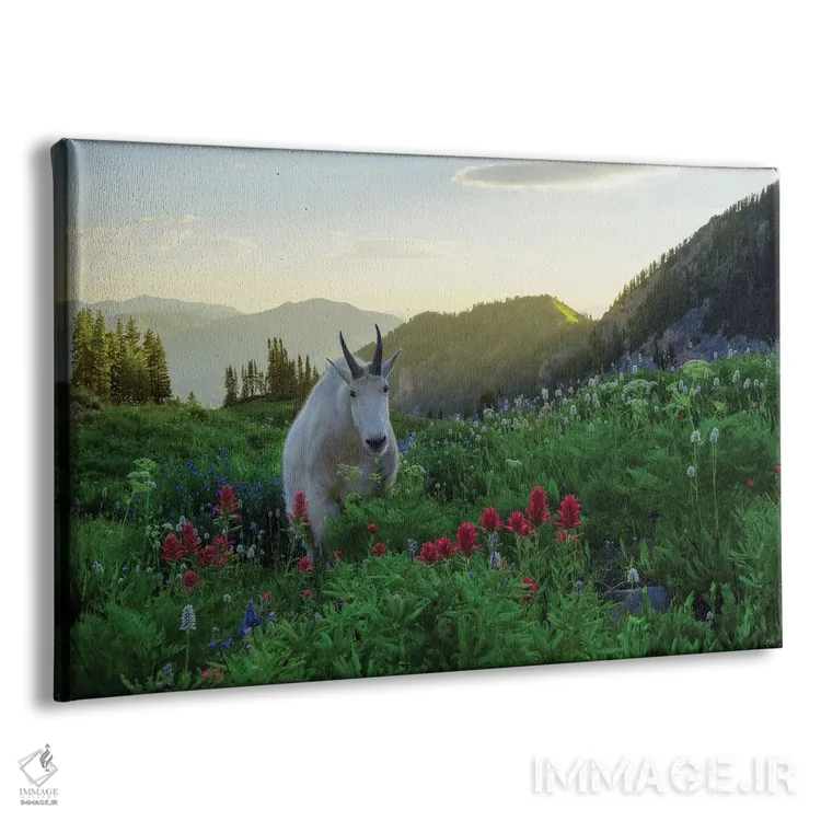 تابلو بزی دیگر در بهشت اثر داستین لِفور - نمای پرسپکتیو محصول