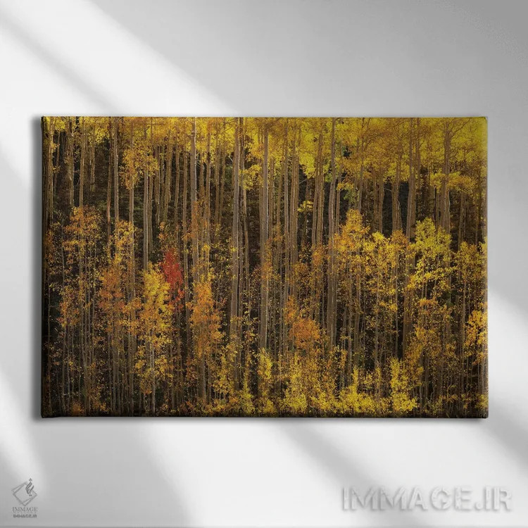 تابلو غیرمتعارف اثر داستین لِفور - نمای روبهرو روی دیوار