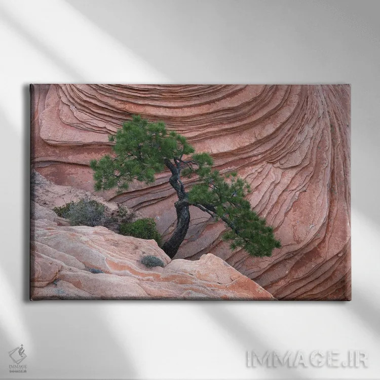 تابلو درخت بنسای زایان اثر داستین لِفور - نمای روبهرو روی دیوار