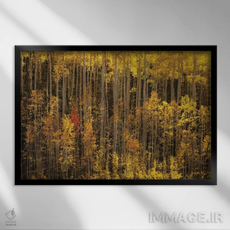 تابلو غیرمتعارف اثر داستین لِفور - نمای قابدار مشکی