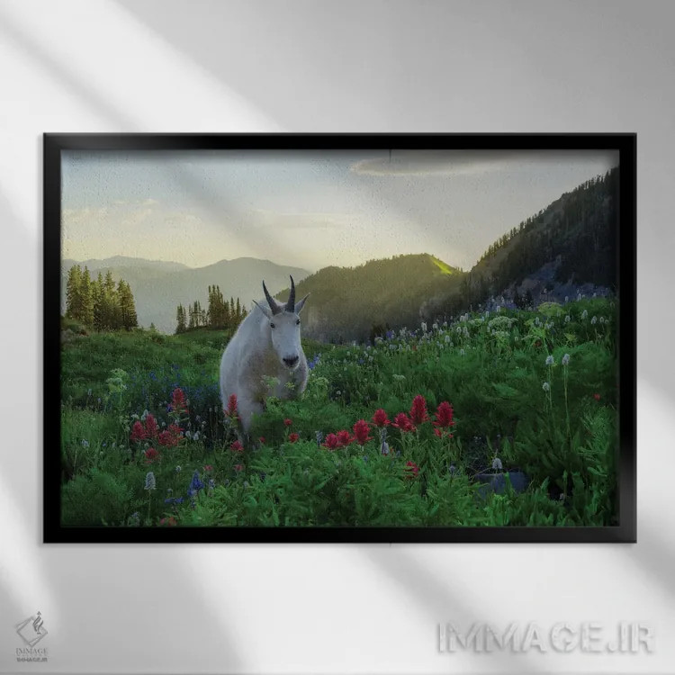 تابلو بزی دیگر در بهشت اثر داستین لِفور - نمای قابدار مشکی