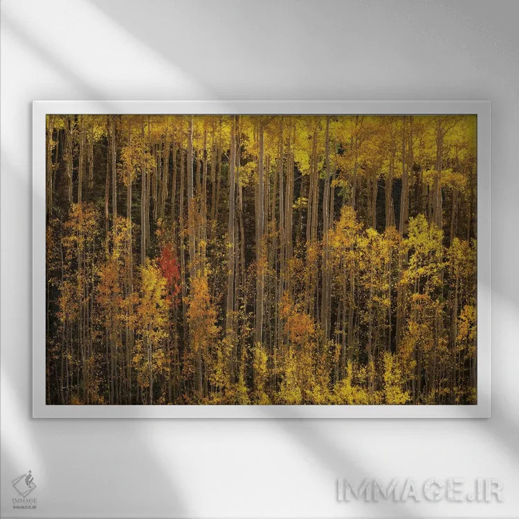 تابلو غیرمتعارف اثر داستین لِفور - نمای قابدار سفید