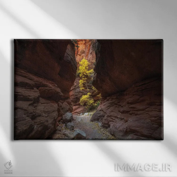 تابلو تنهایی اثر داستین لِفور - نمای روبهرو روی دیوار