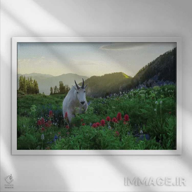 تابلو بزی دیگر در بهشت اثر داستین لِفور - نمای قابدار سفید