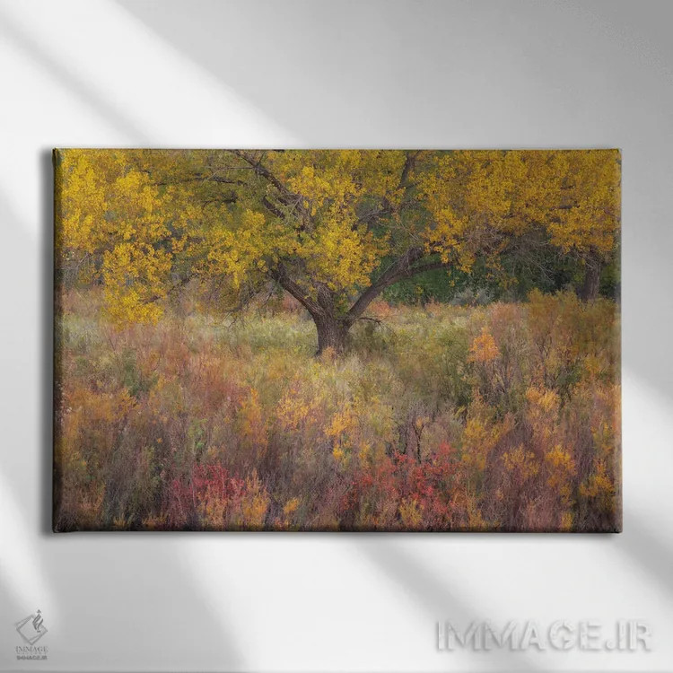 تابلو رنگهای پاستلی اثر داستین لِفور - نمای روبهرو روی دیوار