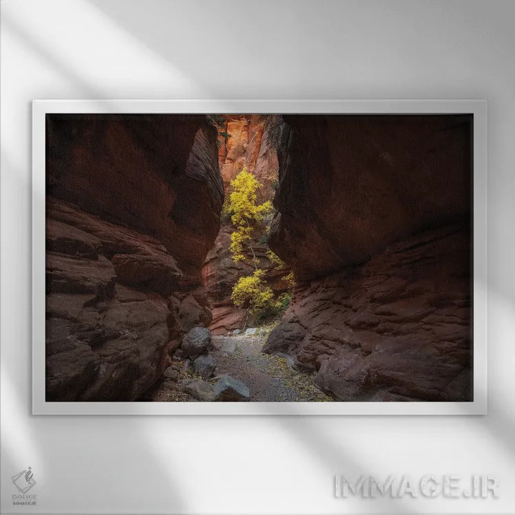 تابلو تنهایی اثر داستین لِفور - نمای قابدار سفید