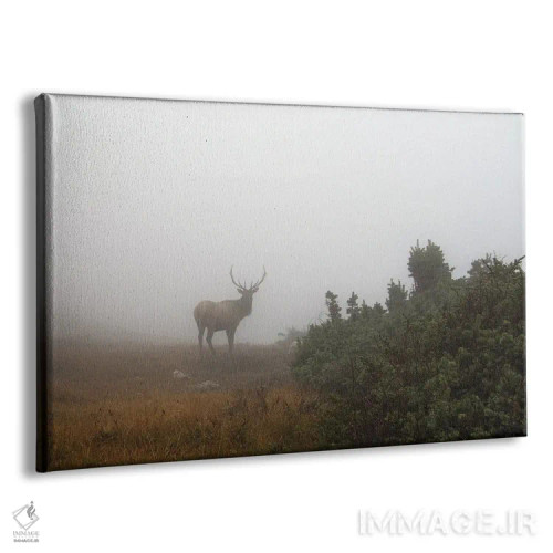 تابلو شکوه کوههای راکی اثر داستین لِفور - نمای پرسپکتیو محصول