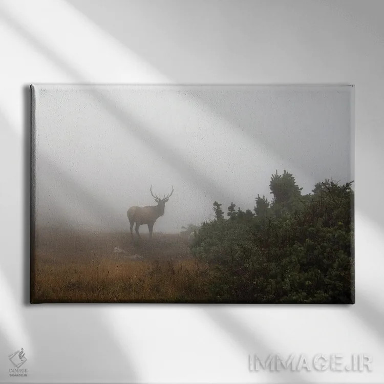 تابلو شکوه کوههای راکی اثر داستین لِفور - نمای روبهرو روی دیوار