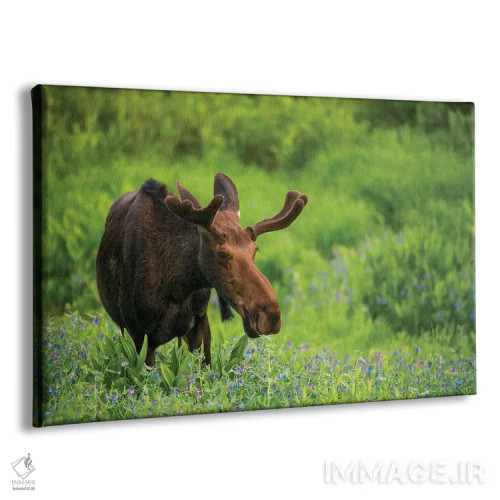 تابلو گوزن شمالی در میان گلها اثر داستین لِفور - نمای پرسپکتیو محصول