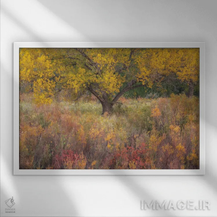 تابلو رنگهای پاستلی اثر داستین لِفور - نمای قابدار سفید