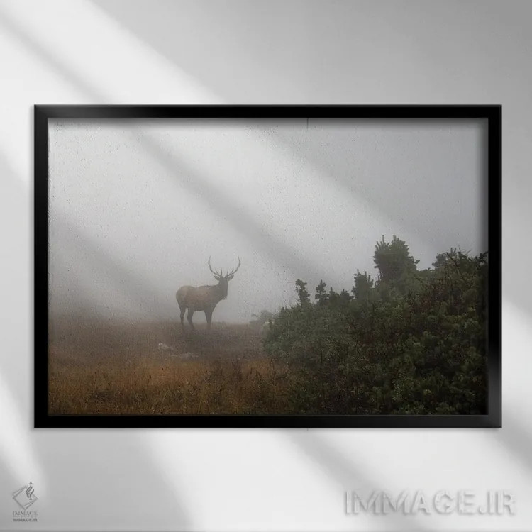 تابلو شکوه کوههای راکی اثر داستین لِفور - نمای قابدار مشکی