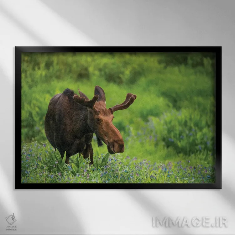 تابلو گوزن شمالی در میان گلها اثر داستین لِفور - نمای قابدار مشکی