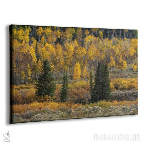 تابلو دریاچه سد توتفرنگی اثر داستین لِفور - نمای پرسپکتیو محصول