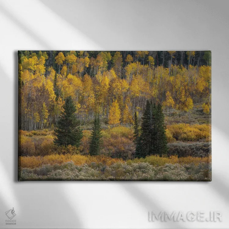 تابلو دریاچه سد توتفرنگی اثر داستین لِفور - نمای روبهرو روی دیوار