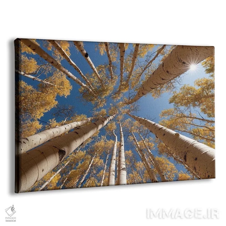 تابلو به سوی آسمان اثر داستین لِفور - نمای پرسپکتیو محصول