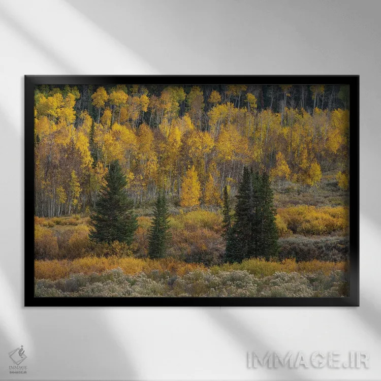 تابلو دریاچه سد توتفرنگی اثر داستین لِفور - نمای قابدار مشکی