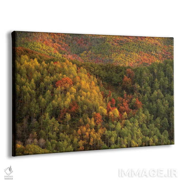 تابلو دیوار رنگارنگ اثر داستین لِفور - نمای پرسپکتیو محصول