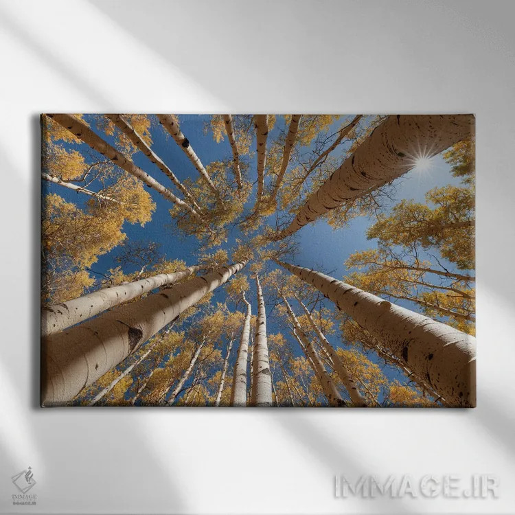 تابلو به سوی آسمان اثر داستین لِفور - نمای روبهرو روی دیوار