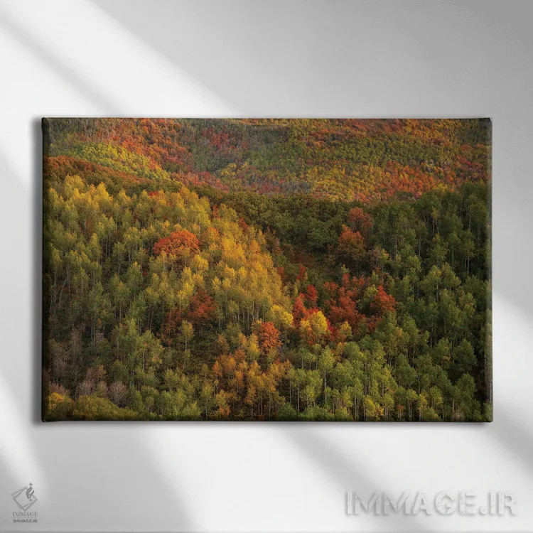 تابلو دیوار رنگارنگ اثر داستین لِفور - نمای روبهرو روی دیوار