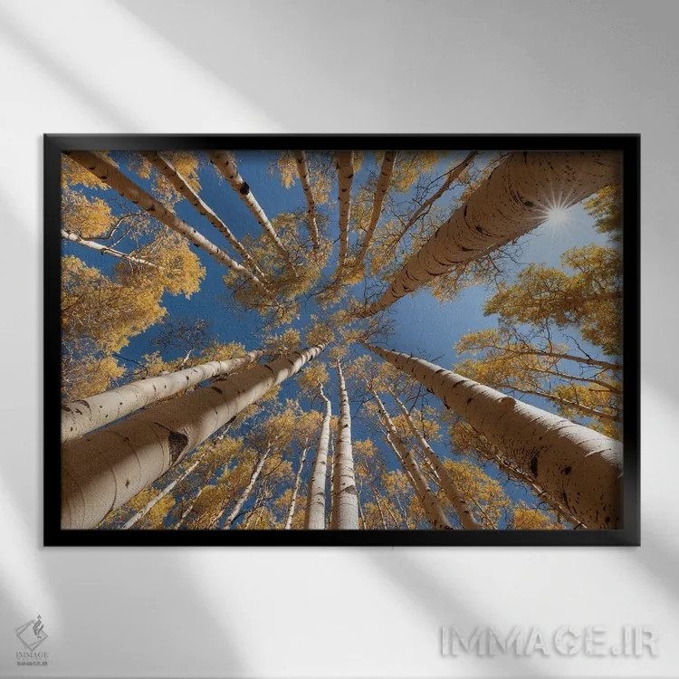 تابلو به سوی آسمان اثر داستین لِفور - نمای قابدار مشکی