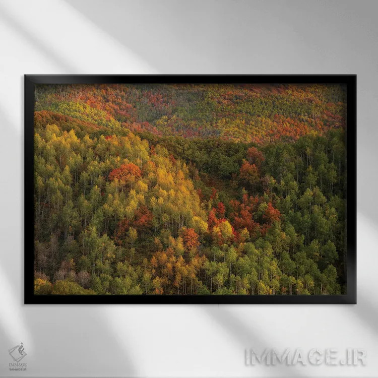 تابلو دیوار رنگارنگ اثر داستین لِفور - نمای قابدار مشکی