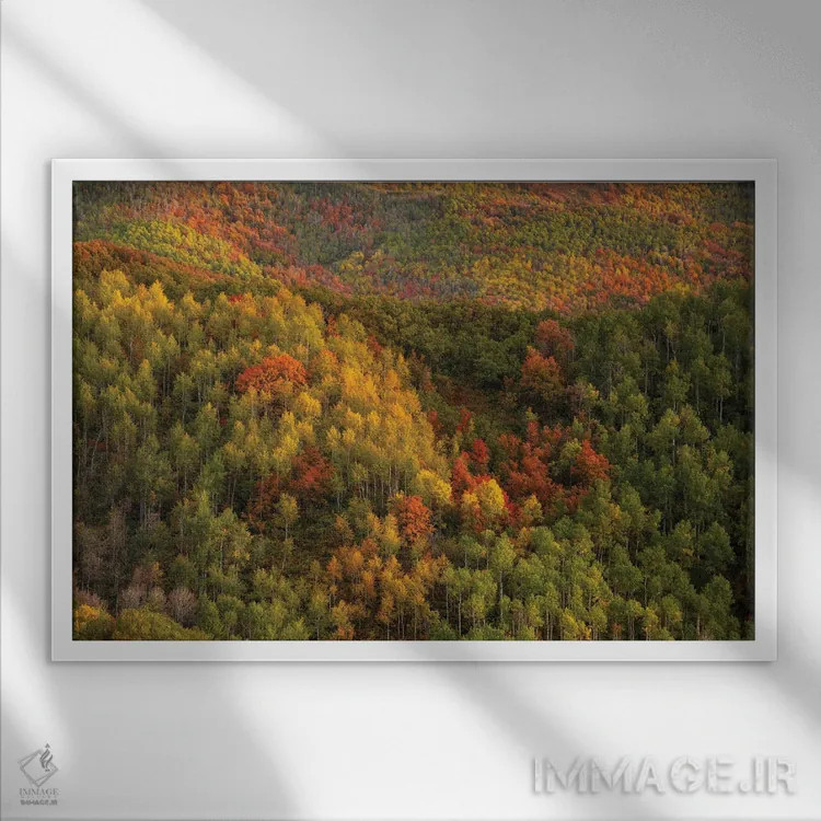 تابلو دیوار رنگارنگ اثر داستین لِفور - نمای قابدار سفید