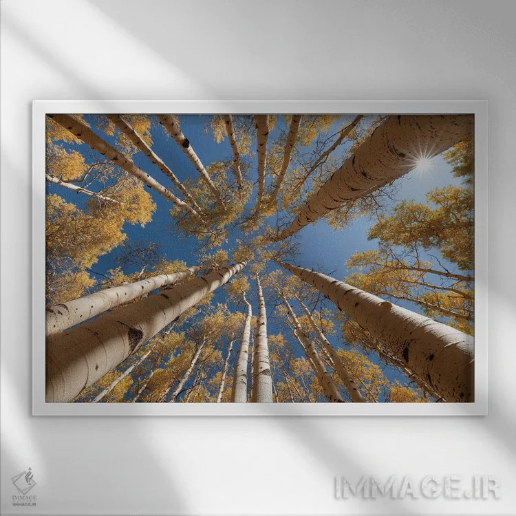 تابلو به سوی آسمان اثر داستین لِفور - نمای قابدار سفید